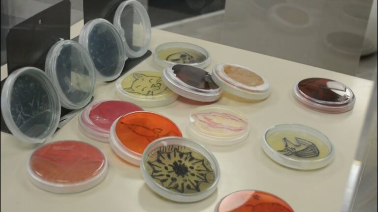 Beneficios de reservar libros en bibliotecas de Bogot&aacute;