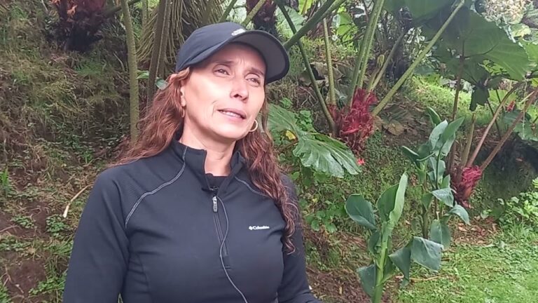 Planes para disfrutar al m&aacute;ximo el Parque Nacional