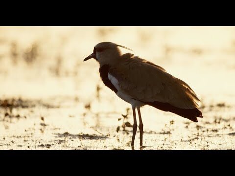 Explorando la biodiversidad en Bogot&aacute;