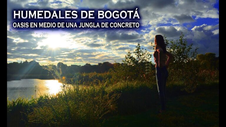 Explora Bogot&aacute;: Caminatas Guiadas por la Ciudad