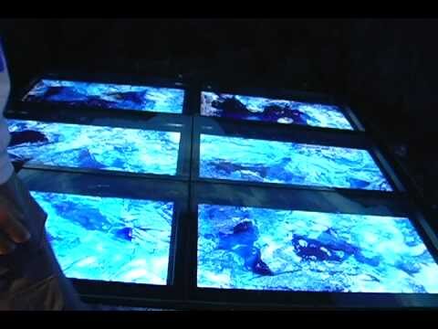 Maravillas acu&aacute;ticas de Bogot&aacute;