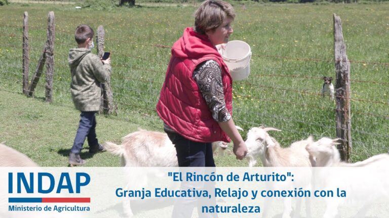 Experiencias educativas en granjas: aprendizaje en la naturaleza