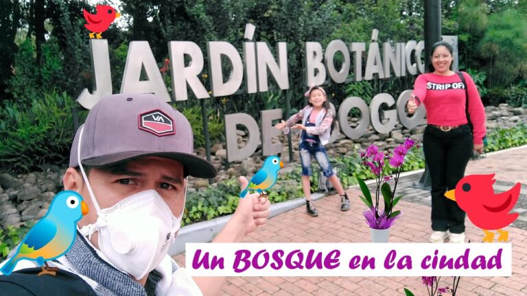 Turismo Ecológico en Bogotá: Descubre la Naturaleza Capital