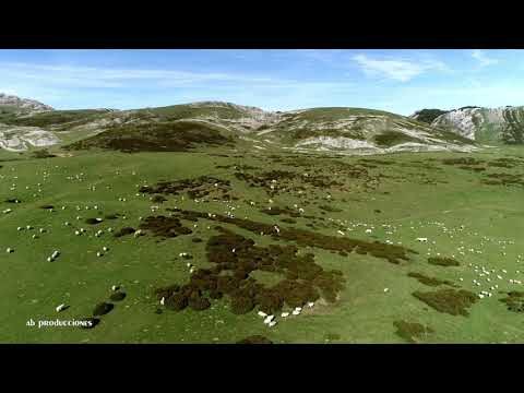 Explorando Parques Naturales Pedaleando