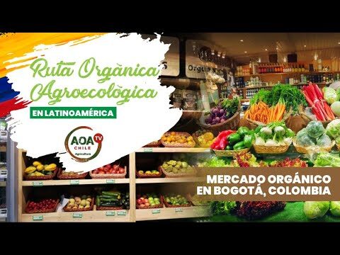 Descubre las Mejores Rutas Gastron&oacute;micas en los Mercados de Bogot&aacute;