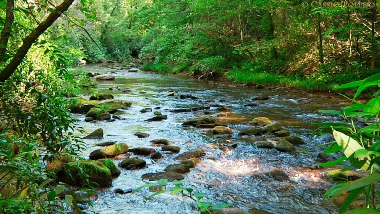 Relajaci&oacute;n Natural: La Mejor Terapia para el Estr&eacute;s