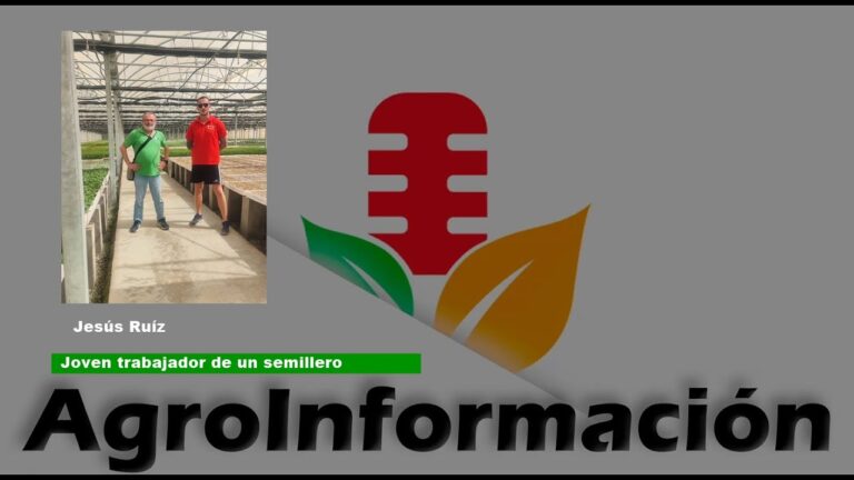El encanto de las ferias de agricultores: una experiencia &uacute;nica