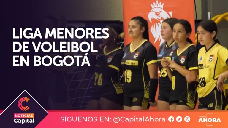 Gu&iacute;a de clubes de voleibol en Bogot&aacute;