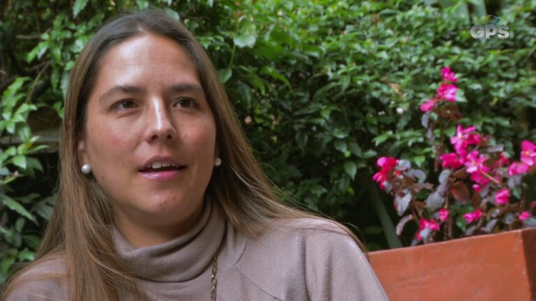 Gu&iacute;a de hoteles pet-friendly en Bogot&aacute;