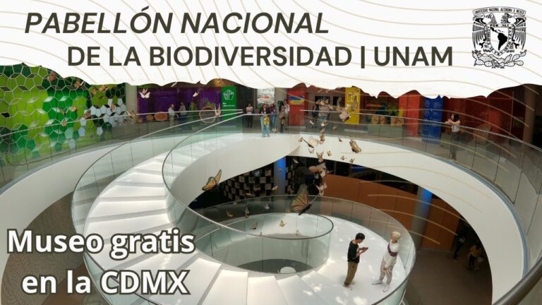 Explorando la biodiversidad urbana