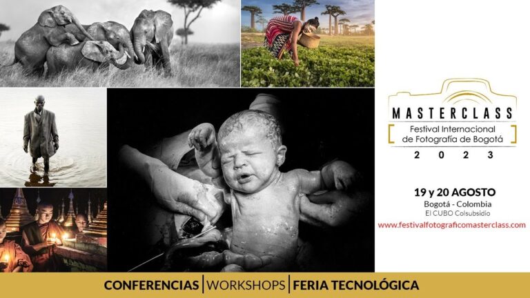 Explorando la vida marina en Bogot&aacute;: Fotograf&iacute;a en su esplendor