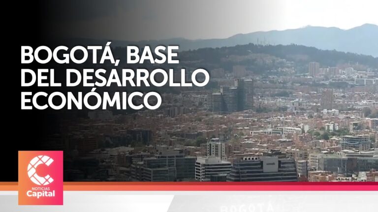 An&aacute;lisis del Sector Econ&oacute;mico de Bogot&aacute;