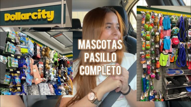 Tiendas de mascotas con promociones en Bogot&aacute;: &iexcl;Ahorra en tus compras para tu mascota!