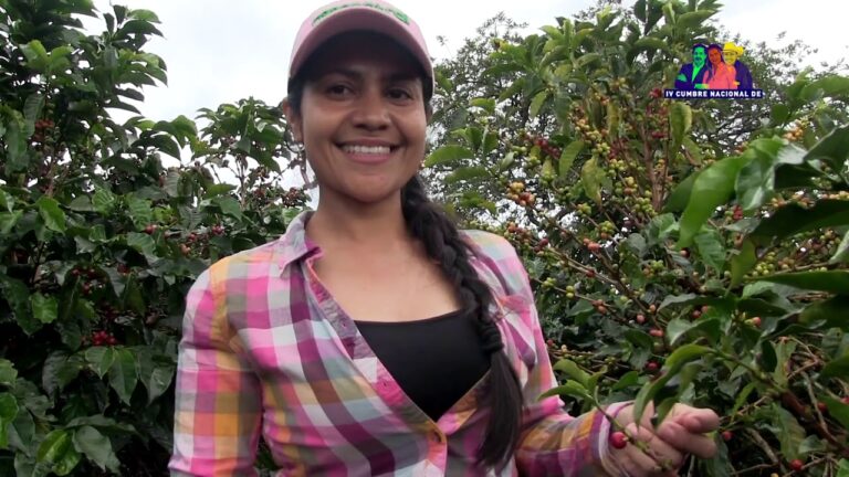 Variedad de productos locales: una gu&iacute;a completa