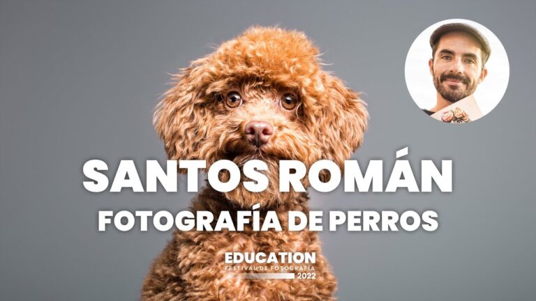 Secretos de iluminaci&oacute;n para fotograf&iacute;a de mascotas