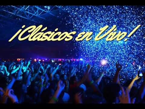 Gu&iacute;a de festivales de m&uacute;sica en vivo: Los mejores eventos del a&ntilde;o