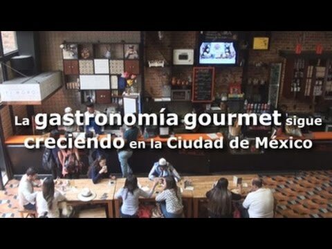 Explorando la gastronom&iacute;a gourmet urbana