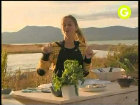 Explorando la gastronom&iacute;a en la soledad