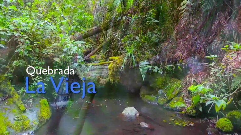 Explorando las fuentes de agua en Bogot&aacute;