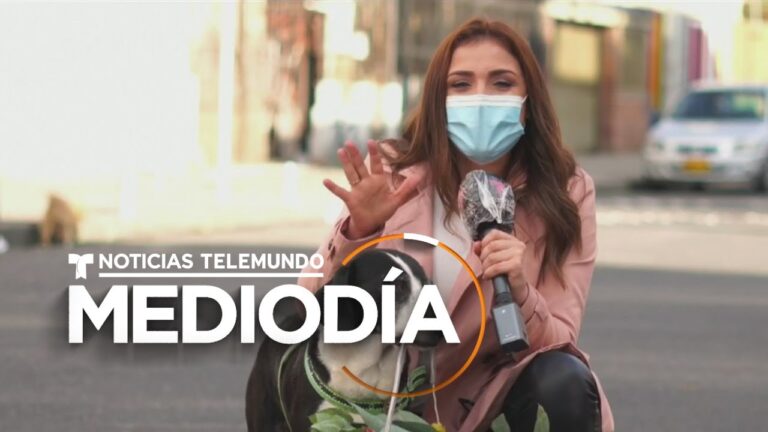 Gu&iacute;a de Compras para tu Mascota en Bogot&aacute;