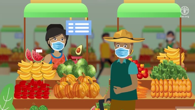 Productos Vegetales en Mercados Locales: Una Alternativa Sostenible