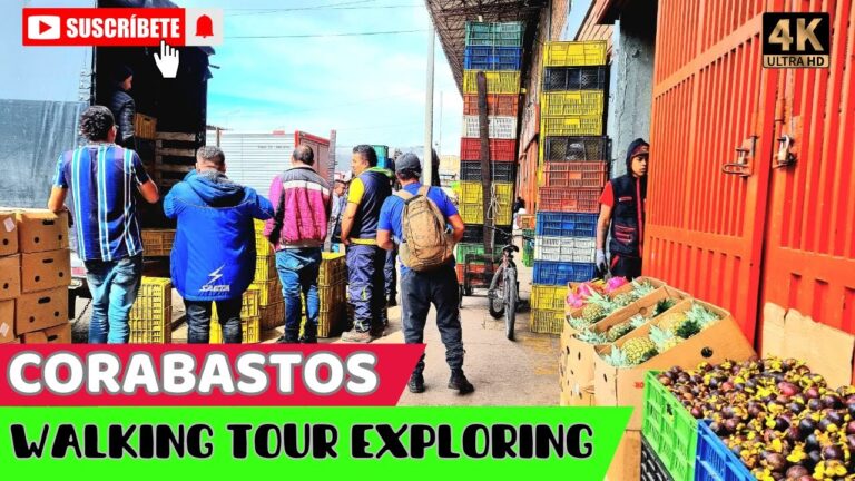 Gu&iacute;a para planificar tu d&iacute;a de picnic en Bogot&aacute;