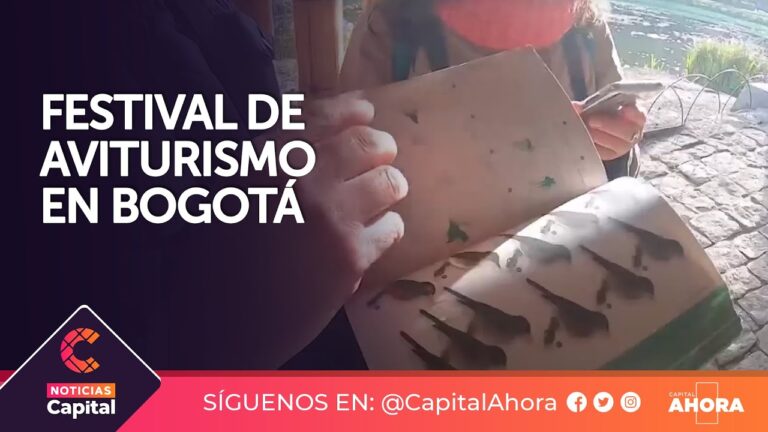 Descubre el Aviturismo en Bogot&aacute;
