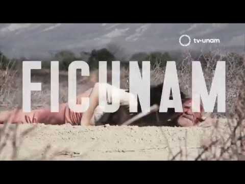 Tendencias del cine independiente en la ciudad