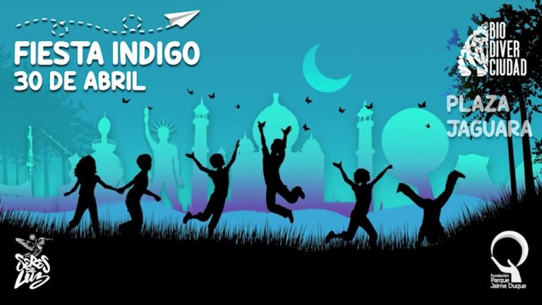 Magia nocturna: ambiente festivo en proyecciones al aire libre