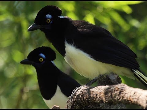 Senderismo en &aacute;reas protegidas: disfruta de la naturaleza con responsabilidad