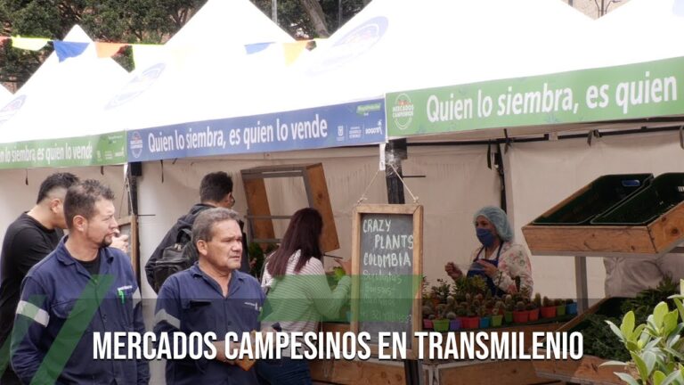 Productos frescos en los mercados de Bogot&aacute;: Una gu&iacute;a completa