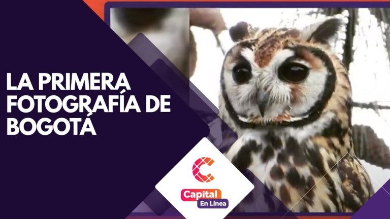 Explorando la Fotograf&iacute;a Art&iacute;stica en Bogot&aacute;