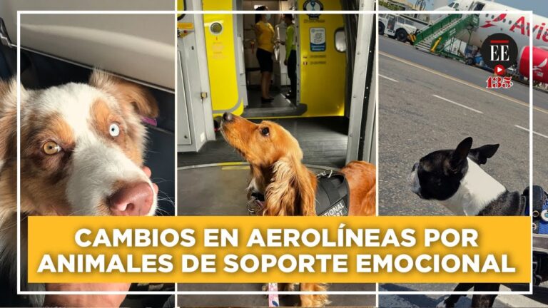 Apoyo emocional en Bogot&aacute;: Recursos y Beneficios