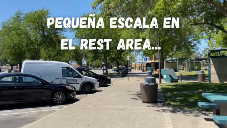 Zonas de Descanso en la Ciudad: Opciones para Relajarse