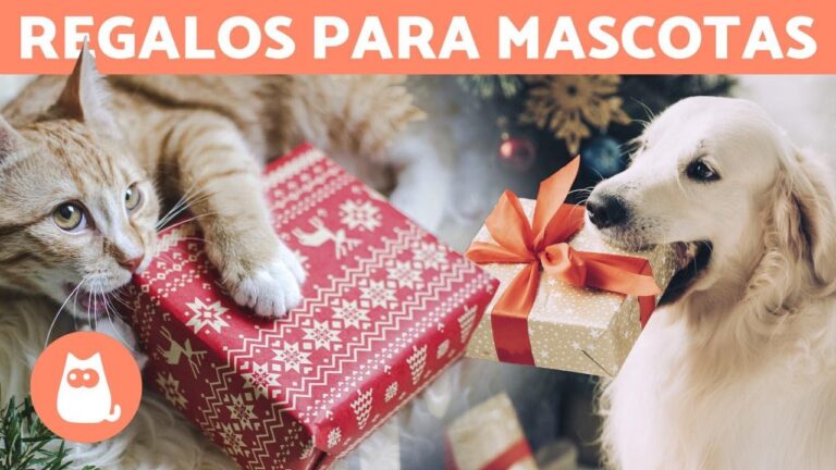 Gu&iacute;a de compras para amantes de los animales