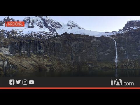 Explorando la diversidad de flora y fauna en el parque nacional