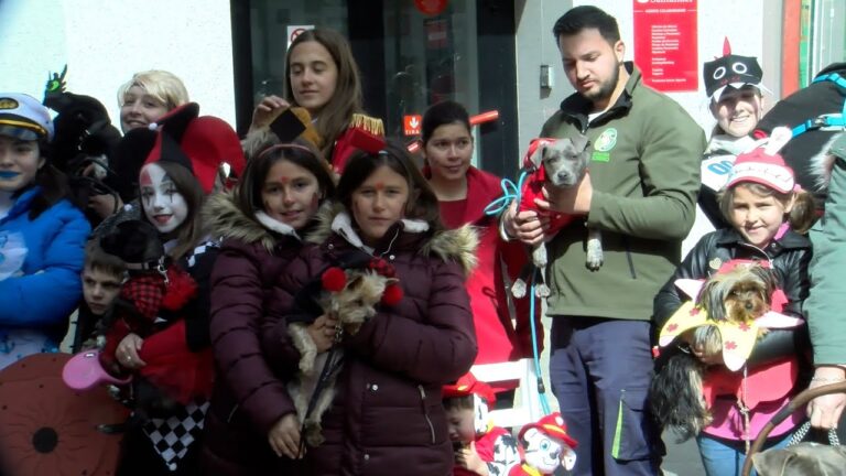 Desfiles de mascotas: alegr&iacute;a en la ciudad