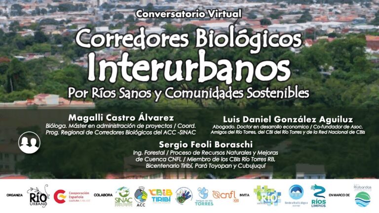 Comunidad de corredores en la capital: Uniendo pasos y corazones