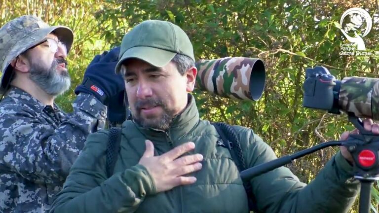 Avistamiento de aves en la ciudad: una experiencia natural &uacute;nica