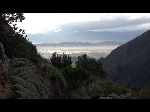 Rutas populares de escalada en Bogotá