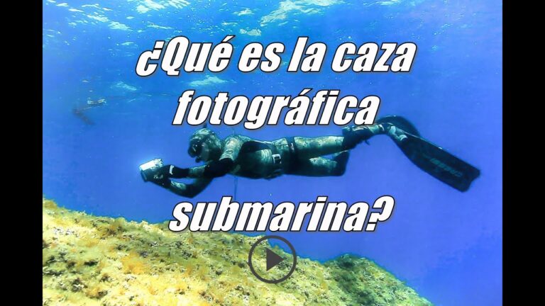 Explorando la Fotograf&iacute;a Submarina