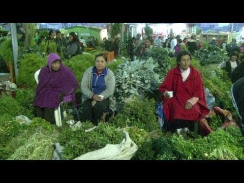 Mercados de plantas medicinales en Bogot&aacute;: Una gu&iacute;a completa