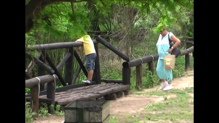 Reservas Ecol&oacute;gicas Urbanas: Conservando la Biodiversidad en la Ciudad