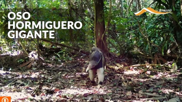 Explorando la biodiversidad en el Parque Nacional