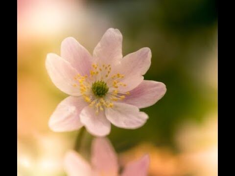 Mejorando el bienestar emocional en la ciudad