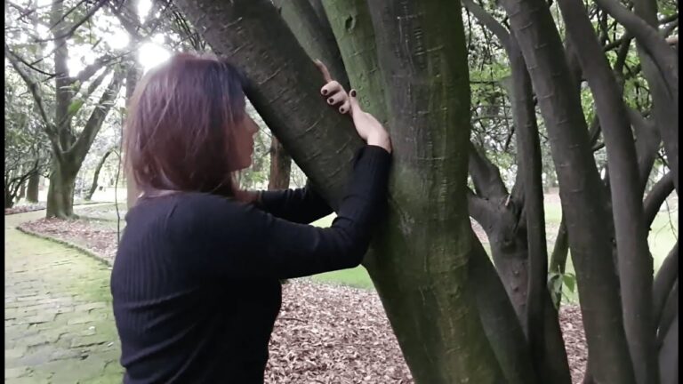 Terapias Naturales en Bogot&aacute;: Descubre las Mejores Opciones para tu Bienestar