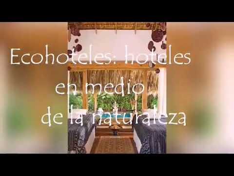 Hospedaje en la naturaleza: Una experiencia &uacute;nica