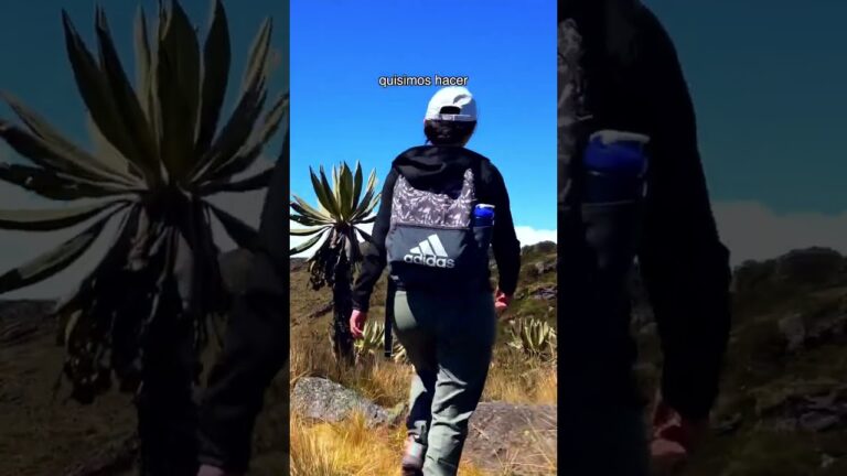 Descubre la paz interior en Bogot&aacute;