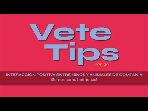Interacción con animales en Bogotá: Una experiencia única