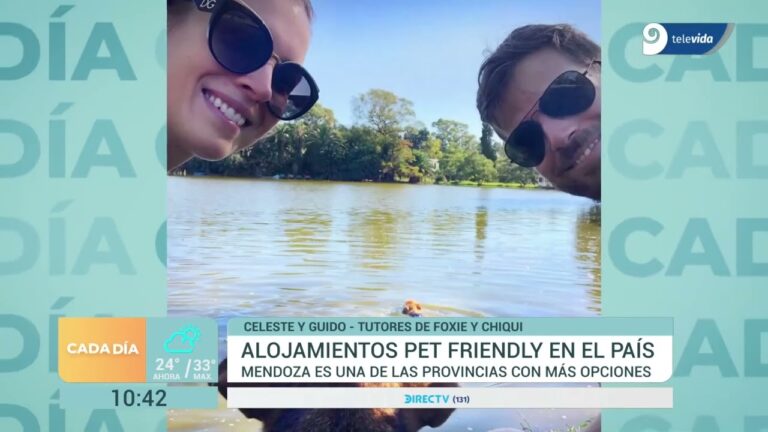 Gu&iacute;a de alojamientos pet-friendly en la capital